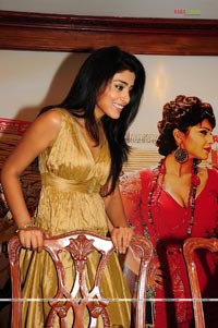 Shriya at Mallanna Success Meet