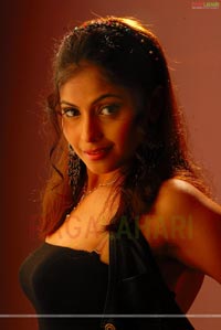 Saira Bhanu Hot Navel & Armpit Poses