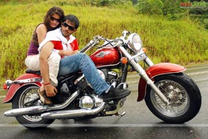 Yaso Sagar, Sneha Ullal