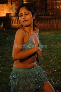 Priya Spicy Gallery