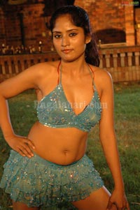 Priya Spicy Gallery