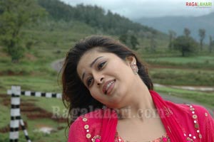 Sangeeta Photo Gallery