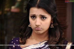 Trisha Photo Gallery from Shankam