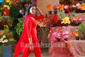 Vimala Raman Photo Gallery