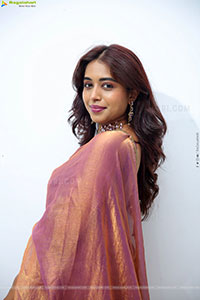 Krithika Latest stills in Traditional Saree, HD Gallery