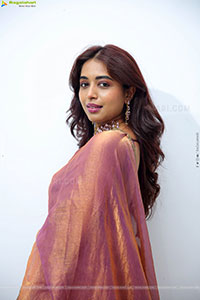 Krithika Latest stills in Traditional Saree, HD Gallery