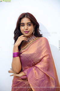 Krithika Latest stills in Traditional Saree, HD Gallery