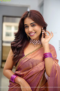 Krithika Latest stills in Traditional Saree, HD Gallery
