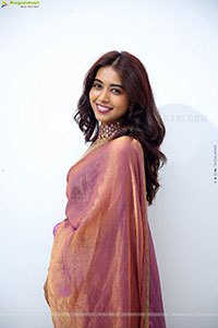 Krithika Latest stills in Traditional Saree, HD Gallery