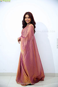 Krithika Latest stills in Traditional Saree, HD Gallery