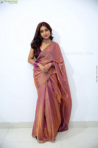 Krithika Latest stills in Traditional Saree, HD Gallery