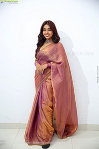 Krithika Latest stills in Traditional Saree, HD Gallery