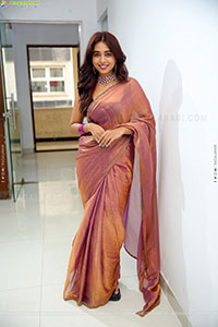 Krithika Latest stills in Traditional Saree, HD Gallery