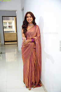 Krithika Latest stills in Traditional Saree, HD Gallery