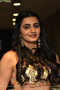 Manasa Chaudhary at Gaayapadda Simham Trailer Launch