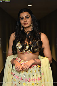 Manasa Chaudhary at Gaayapadda Simham Trailer Launch