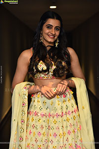 Manasa Chaudhary at Gaayapadda Simham Trailer Launch