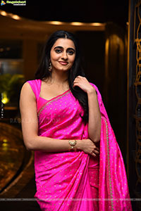 Maanasa Choudhary at Gaayapadda Simham Pre Release Event