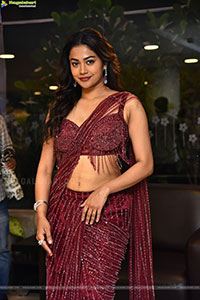 Payal Radhakrishna at Papam Prathap Pre Release
