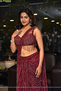Payal Radhakrishna at Papam Prathap Pre Release