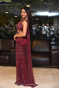 Payal Radhakrishna at Papam Prathap Pre Release