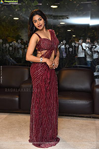 Payal Radhakrishna at Papam Prathap Pre Release