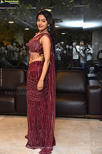 Payal Radhakrishna at Papam Prathap Pre Release
