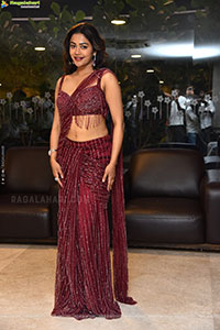 Payal Radhakrishna at Papam Prathap Pre Release