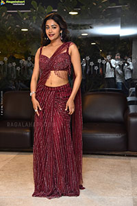 Payal Radhakrishna at Papam Prathap Pre Release