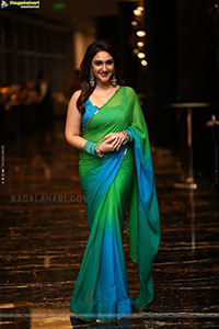Sri Devi Vijayakumar at Bad Boy Karthik Pre Release Event