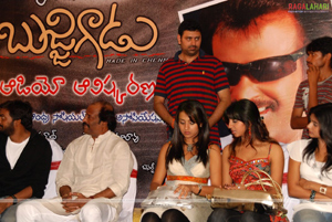 Bujjigadu Audio Release