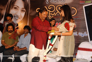 Bujjigadu Audio Release