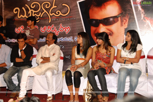 Bujjigadu Audio Release