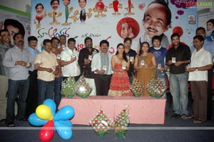 Maa Aayana Chanti Pilladu Audio Release