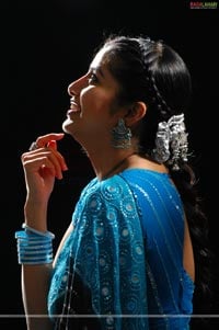 Sangeeta Portfolio Pictures