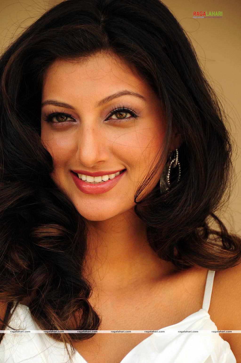 Hamsa Nandini