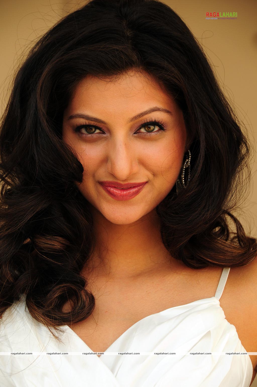 Hamsa Nandini