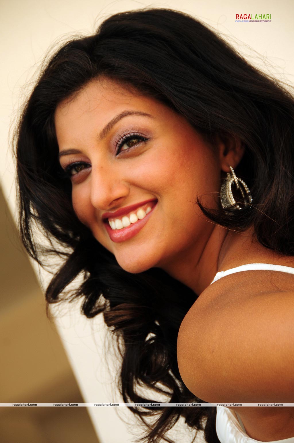 Hamsa Nandini