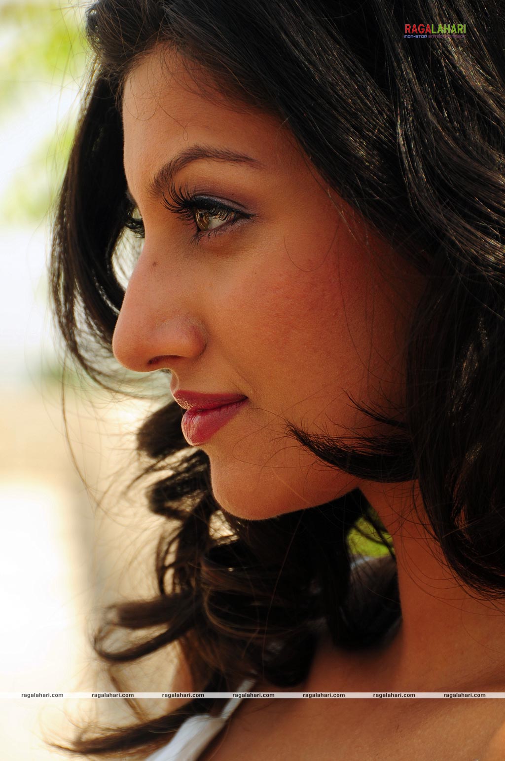 Hamsa Nandini