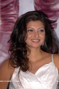 Hamsa Nandini at Adhinetha Success Meet