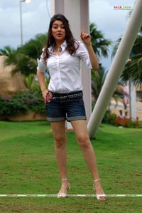 Hansika Photo Gallery from Billa