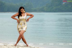 Namitha Photo Gallery from Billa