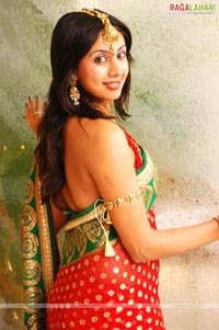 Sanjana Portfolio Pictures