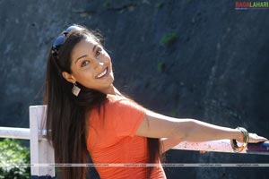 Snigdha Photo Gallery