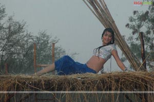 Sonal Chauhan Photo Gallery