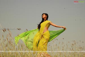 Sonal Chauhan Photo Gallery