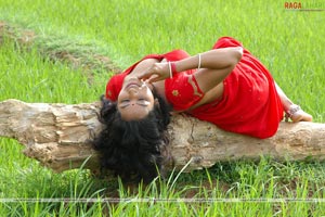 Teertha Spicy Photo Gallery