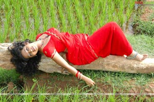 Teertha Spicy Photo Gallery