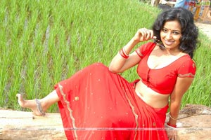 Teertha Spicy Photo Gallery