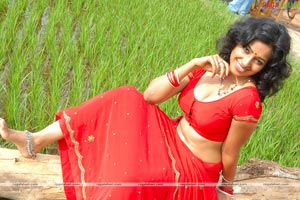 Teertha Spicy Photo Gallery